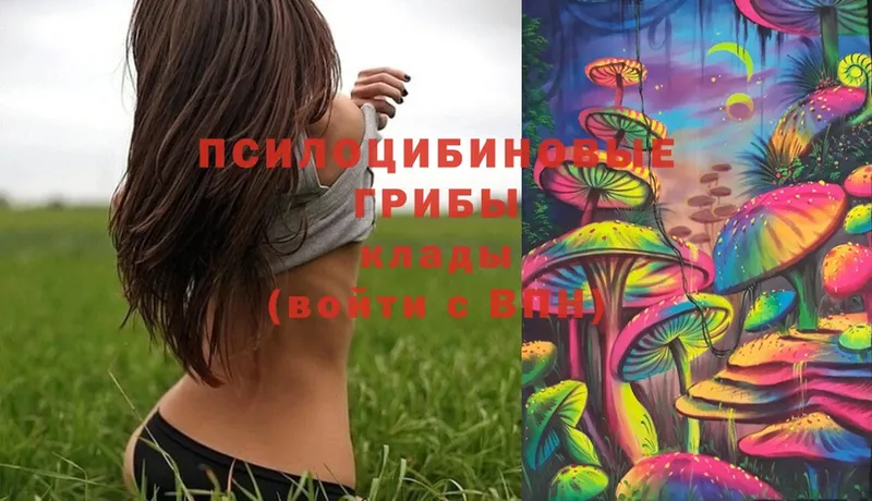 Галлюциногенные грибы Magic Shrooms  купить наркотики сайты  Апшеронск 